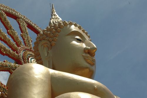 Buda, Wat Po, Bangkokas, Statula, Šventykla, Tailandas