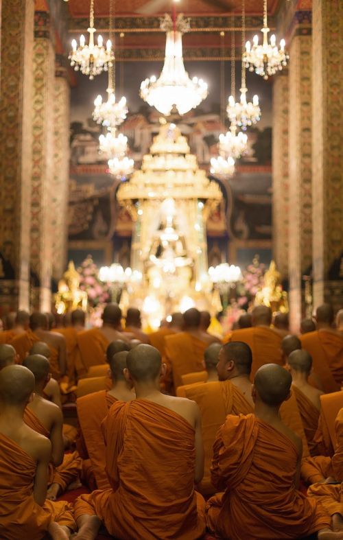 Budizmas, Šventykla, Vienuoliai, Tailandas, Bangkokas, Malda, Melstis, Budistams, Oranžinė, Gaubtai, Plika Galva, Šventas, Tikėjimas, Religija