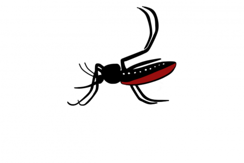 Aedes Aegypti, Liga, Zika, Iliustracija, Klaida