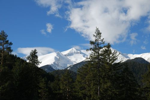 Bulgarija, Pirin Kalnai, Pavasaris, Gamta, Medžiai, Sniegas
