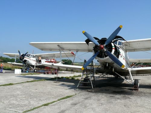 Bulgarija, Oro Uostas, Žemės Ūkio Orlaiviai, Biplanas, Lėktuvas, An-2, Aviacija