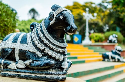 Bulius, Statula, Figūra, Šventykla, Nandi, Parkas, Indija, Tradicija, Bangalore, Karnataka