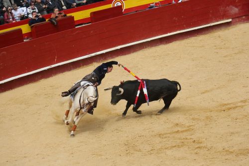 Bullring,  Torero,  Be Honoraro Mokesčio