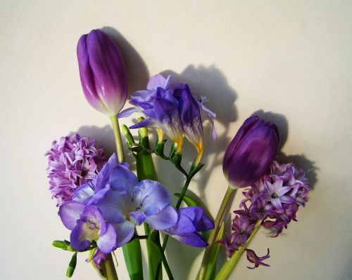 Gėlių Puokštė, Mėlyna Violetinė Spalva, Supjaustytos Gėlės