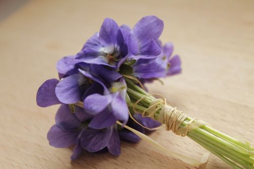 Gėlių Puokštė,  Violetinė,  Violetinė