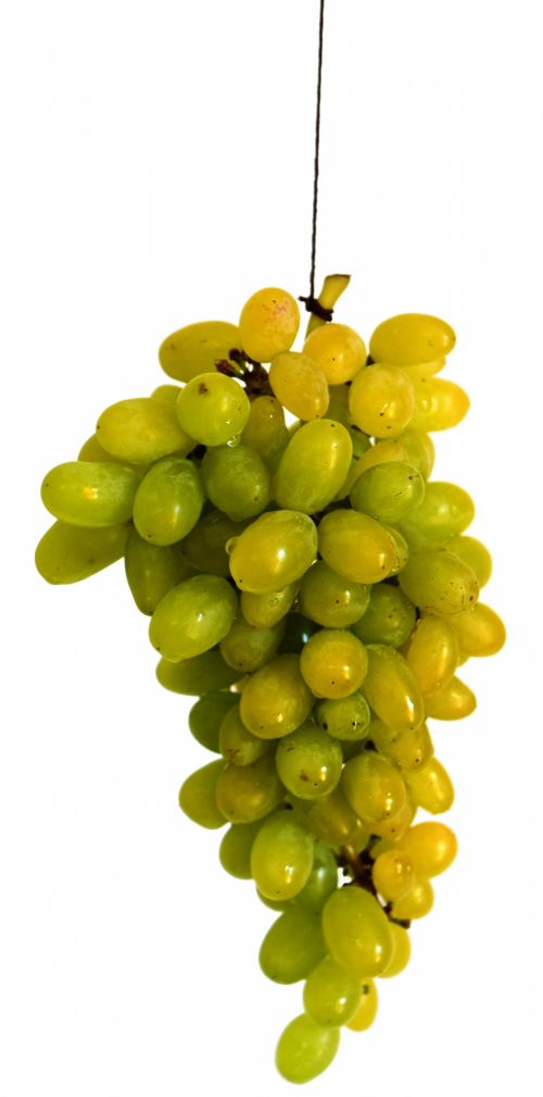 Vynuogės,  Vaisiai,  Žalias,  Sultys,  Sveikata,  Vynuogių Kekė