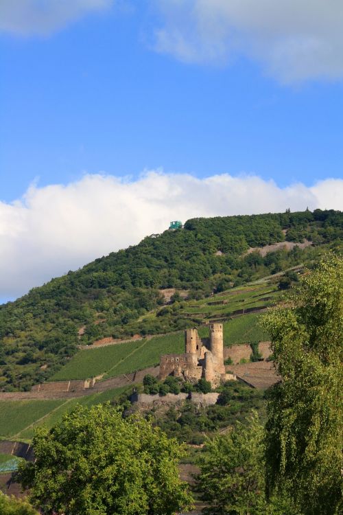 Burg Ehrenfels, Vynuogynas, Pilis-Bingenas, Kraštovaizdis