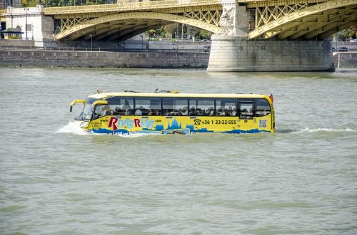 Autobusas, Vandens Autobusas, Transporto Atvejis, Budapest
