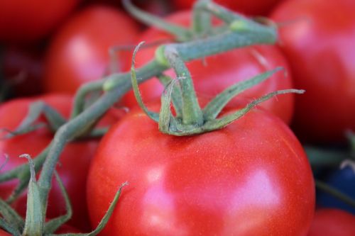 Krūmo Pomidoras, Pomidoras, Raudona, Daržovės, Uždaryti, Maistas, Frisch, Sveikas, Vitaminai