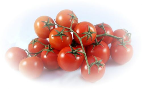 Krūmų Pomidorai, Pomidorai, Raudona, Maistas, Sveikas, Virėjas, Valgyti, Frisch, Vitaminai, Daržovės, Druska