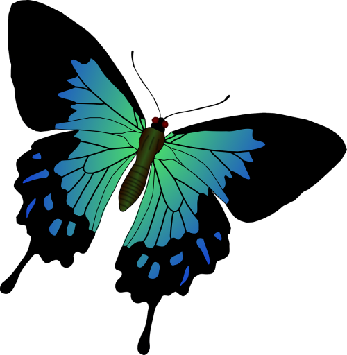Drugelis, Mėlynas, Vabzdys, Swallowtail, Nemokama Vektorinė Grafika