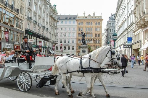 Taksi, Krepšelis, Arkliai, Vienna, Austria, Kelionė
