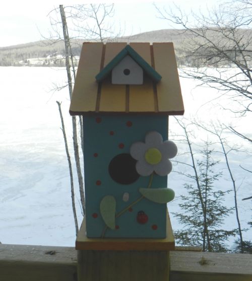 Birdhouse,  Birdhouse (1)