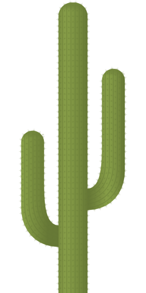 Kaktusas, Augalai, Dykuma, Erškėtis, Žalias, Gamta, Nemokama Vektorinė Grafika