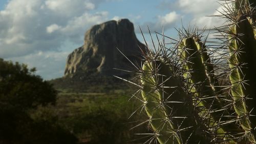 Kaktusas, Serra, Kalnas, Gamta, Brazilija, Kraštovaizdis