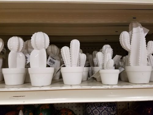 Kaktusas, Keramika, Apdaila, Sultingas