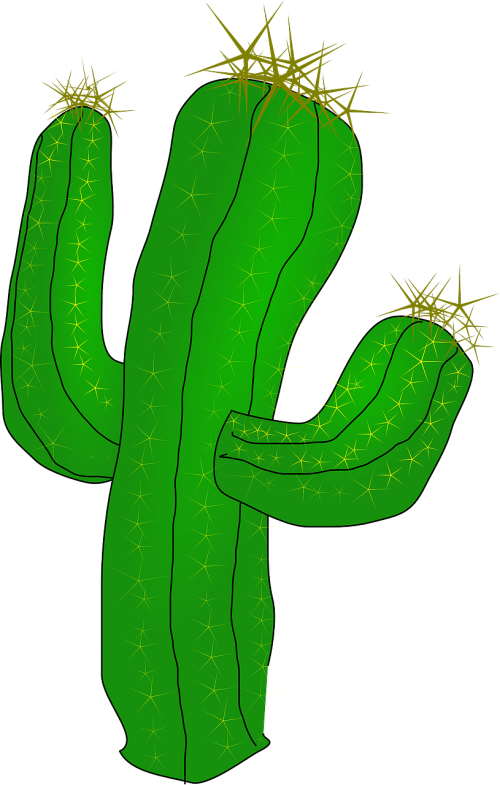 Kaktusas, Dykuma, Kaktusai, Augalas, Žalias, Nemokama Vektorinė Grafika
