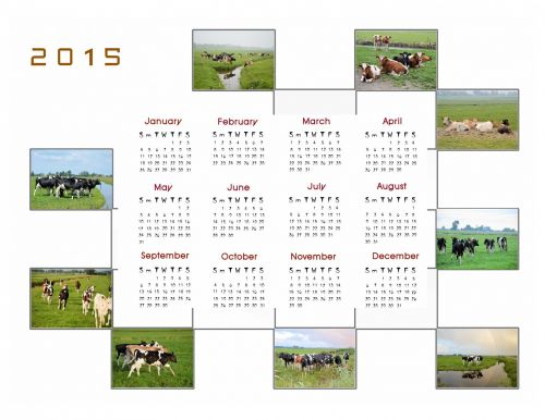 Kalendorius & Nbsp,  2015,  Kalendorius,  Planuotojas,  Apdaila,  Metai,  Mėnuo,  Mėnesių,  Duomenys,  Karvės,  2015 Kalendorius