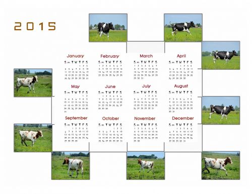 Kalendorius & Nbsp,  2015,  Kalendorius,  Planuotojas,  Apdaila,  Metai,  Mėnuo,  Mėnesių,  Duomenys,  Karvės,  2015 Kalendorius