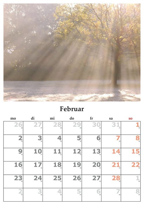 Kalendorius, Mėnuo, Vasaris, Vasaris 2015