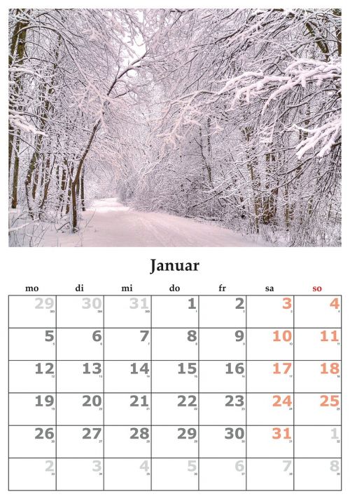 Kalendorius, Mėnuo, Sausis, 2015 M. Sausio Mėn .