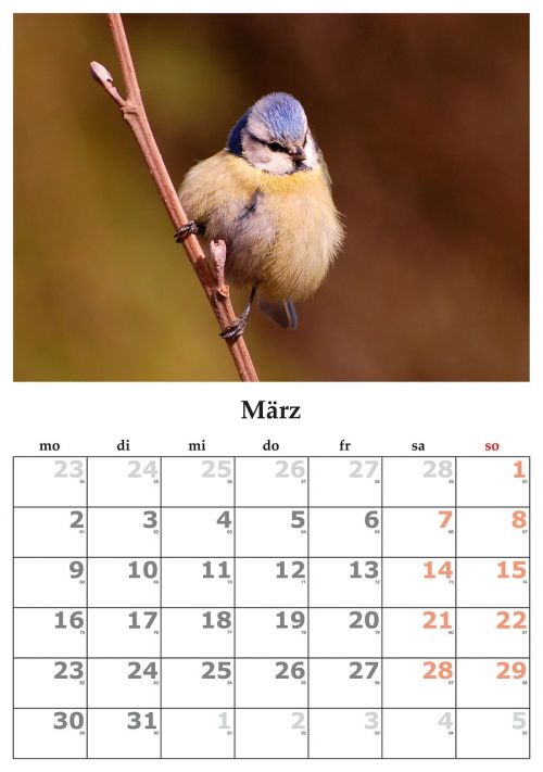 Kalendorius, Mėnuo, Kovas, 2015 M. Kovo Mėn .