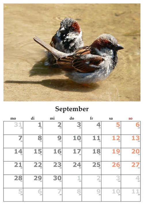 Kalendorius, Mėnuo, September, 2015 M. Rugsėjo Mėn .