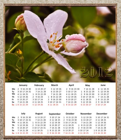 Gėlės,  Lašai,  Kalendorius,  2012,  Gamta,  Dizainas,  Kalendorius 2012 M