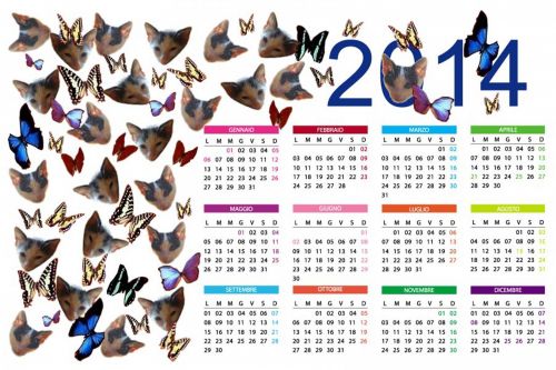 Kalendorius,  Kalendorius,  Metai,  2014,  2014 M. Kalendorius