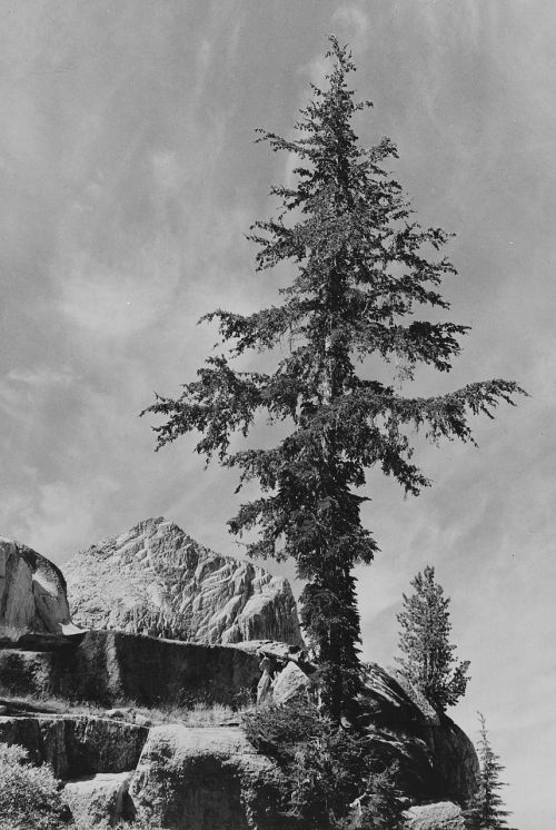 Kalifornija, 1930-Tieji Metai, Juoda Ir Balta, Dangus, Debesys, Gamta, Lauke, Medis, Kalnai, Uolos, Izoliuotas