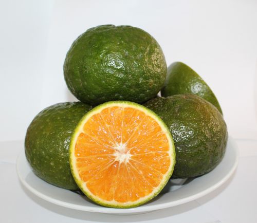 Cam Sành, Oranžinė, Apelsinai