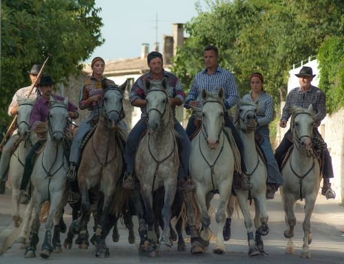 Camargue, Gardininkai, Arkliai, Vairuotojai, Camargue Arklys