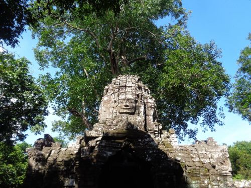 Kambodža, Griuvėsiai, Medžiai, Šventyklos, Gamta, Senas