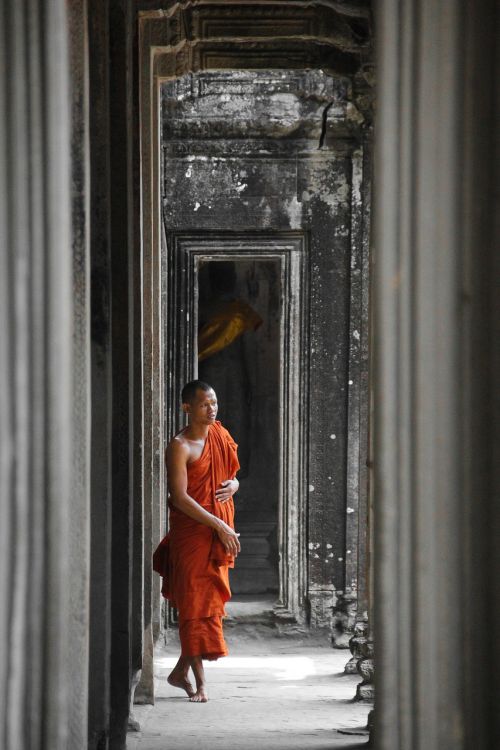 Kambodža, Vienuolis, Angkor Wat, Asija, Ankoras, Religija, Angkor, Šventykla, Phnom Penh