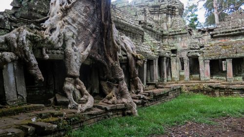 Kambodža, Angkor, Šventykla, Istorija, Asija, Šventyklų Kompleksai, Džiunglės, Preah Khan, Šaknis, Medis, Užaugo