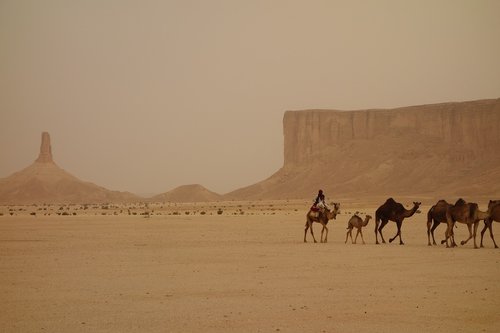 Camel Traukinys,  Saudo Arabija,  Ramadanas,  Ramadanas