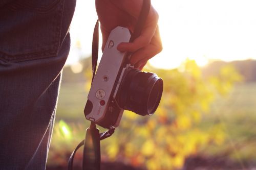 Fotoaparatas, Ūkis, Asmuo, Fotografija, Fotografas, Skaitmeninis, Gamta