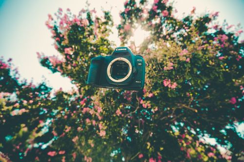 Fotoaparatas, Kanonas, Plaukiojantieji, Flora, Gėlės, Medis