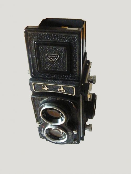 Fotoaparatas, Fotografija, Fotoaparatas, Senovinis, 1958 M. Nostalgija, Kepuraitė, Kajakas, Paukštis, Iššoka