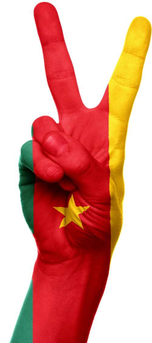 Cameroon, Vėliava, Ranka, Šalis, Afrika, Cameroonian, Patriotizmas, Patriotinis, Ženklas, Simbolis, Taika, Pergalė