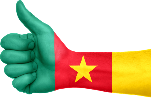 Cameroon, Vėliava, Ranka, Šalis, Afrika, Cameroonian, Patriotizmas, Patriotinis, Ženklas, Simbolis, Nykščiai Aukštyn