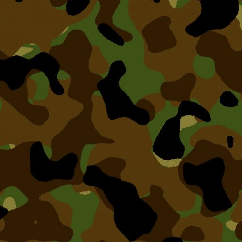 Kamufliažas,  Camo,  Modelis,  Kariuomenė,  Armija,  Karas,  Tekstūra,  Camo Modelis