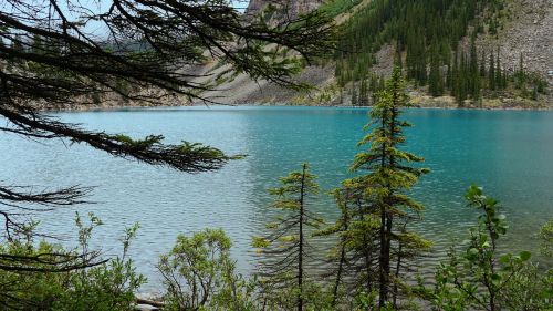 Kanada, Ežeras, Gamta, Nacionalinis Parkas, Kraštovaizdis, Alberta