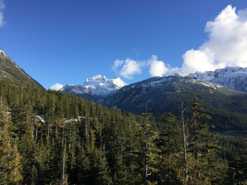 Kanada, Kalnai, Kraštovaizdis, Miškas, Sniegas, Amžinai Žaliuojantys Medžiai, Pušis
