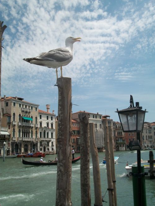 Kraštovaizdis,  Venecija,  Venecijos Kanalas