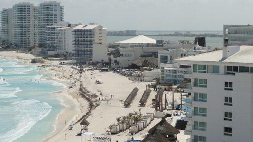 Cancun, Meksika, Papludimys