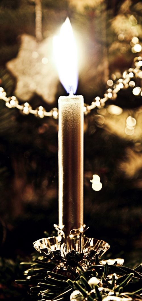 Žvakė, Kalėdos, Adventas