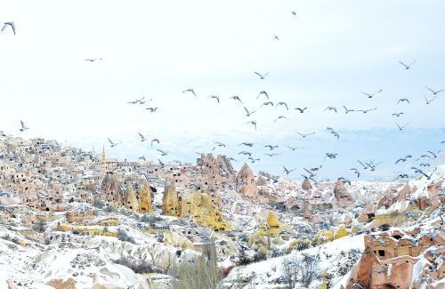 Cappadocia,  Žiema,  Gamta,  Sniegas,  Sušaldyta,  Ledas,  Dangus,  Balta,  Kraštovaizdis,  Balandžiai,  Paukščiai,  Gyvūnai