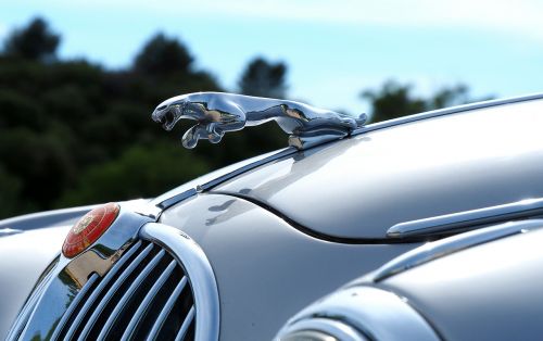 Automobilis, Automobilio Kolekcija, Jaguar, Iš Arti