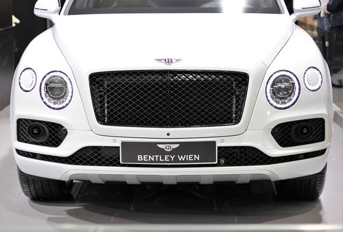 Automobilių,  Bentley,  Auto Show Zagreb 2018,  Moderni Technologija,  Galia,  Baltos Spalvos,  Viešam Renginiui